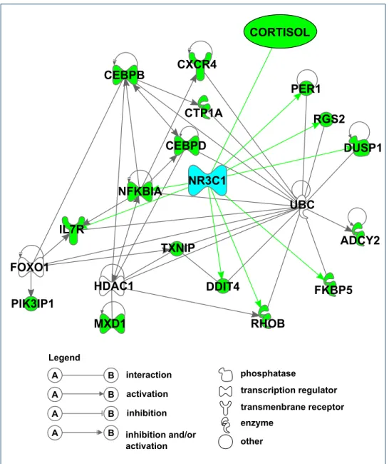 Figure 7 Gene network related to glucocorticoid response in whole blood transcriptome 1 h after ACTH injection This network corresponds to the genes up-regulated 1 h after ACTH injection (cluster 1, green nodes)