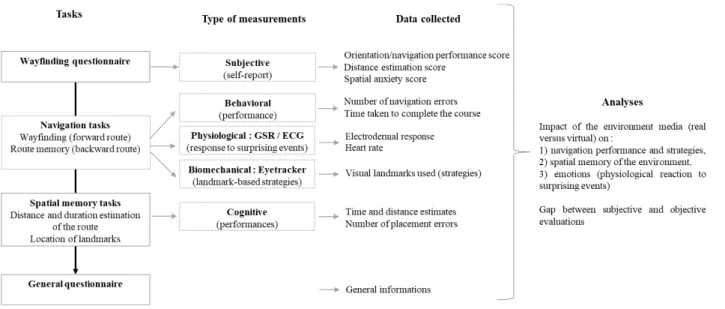 Figure 1: Experimental protocol summary 
