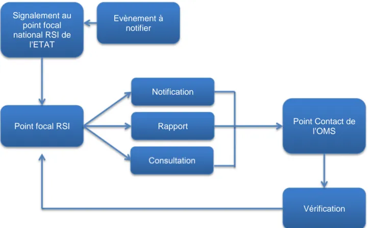 Figure 4. Fonctionnement des points focaux RSI et des points Contact OMS (10)  Lorsqu’un des acteurs de la surveillance d’un Etat (réseau actif, passif, sentinelle) détecte un  événement  à  notifier,  il  le  signale  au  point  focal  RSI  local  qui  le