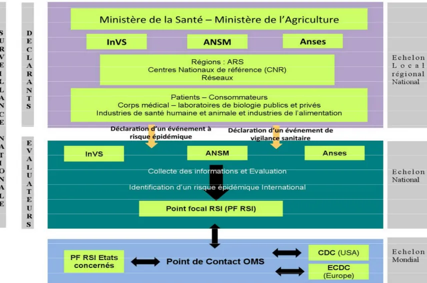 Figure 6. Schématisation des interrelations au sein du système français de surveillance des maladies épidémiologiques (référence personnelle)