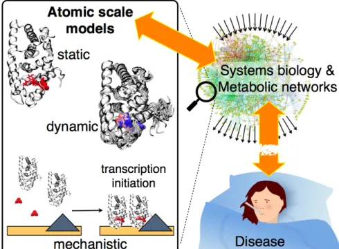 Figure 1. Schematic view of the connections between atomic scale models, repre- repre-senting a zoom of complex interrelated metabolic networks, and disease, as a  conse-quence of a network perturbation