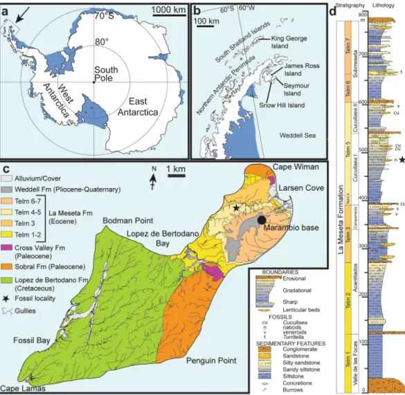 Figure 1.  Maps and stratigraphic column of the studied area and succession. (a) Map of Antarctica showing  the location of the study area