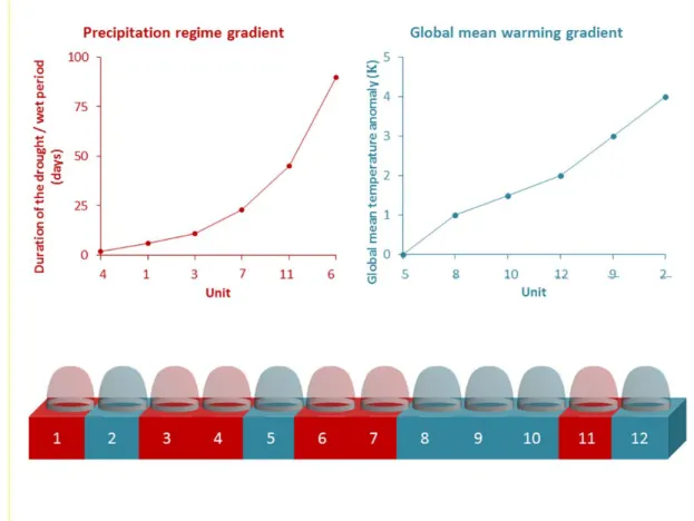 Figure 1. Overview of the two climate change gradient designs in the UHasselt Ecotron experiment