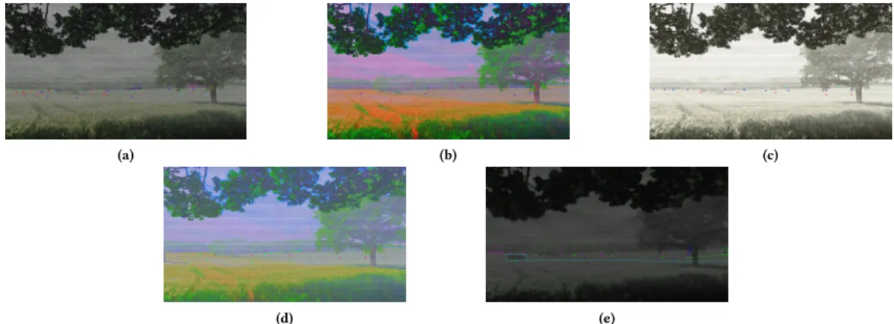 Figure 3: Examples of generated videos using evasion attack a classifier when several are created, for instance when trying to