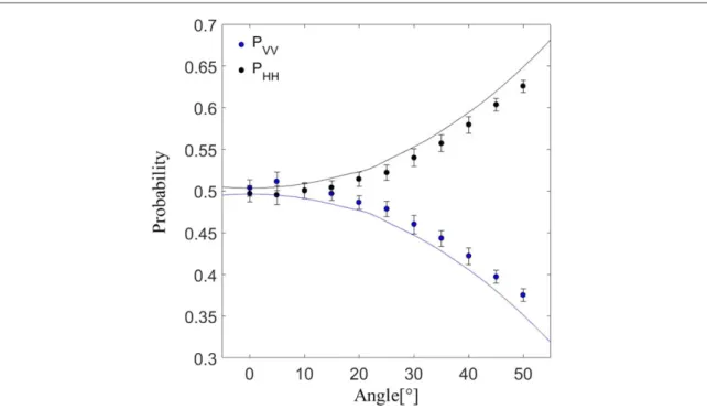 Figure 8. Probability of measuring a ﬁ nal polarisation ∣ HH ⟩ ( black ) and ∣ VV ⟩( blue ) after transmission through the continuous metallic ﬁ lm in function of the angle of incidence, i.e