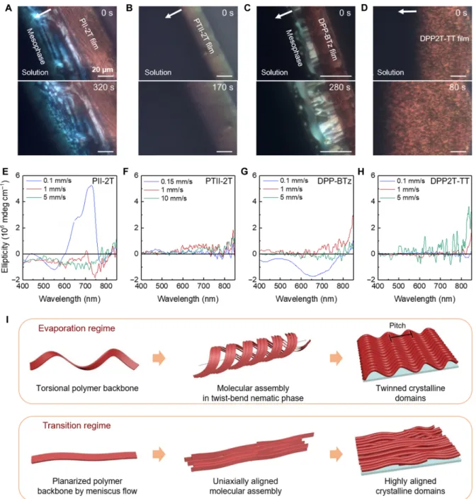 Fig. 6. Flow-controlled polymer assembly mechanism. (A to D) CPOM images of PII-2T (A), PTII-2T (B), DPP-BTz (C), and DPP2T-TT (D) solution- to solid-state phase transition in a receding meniscus driven by solvent evaporation