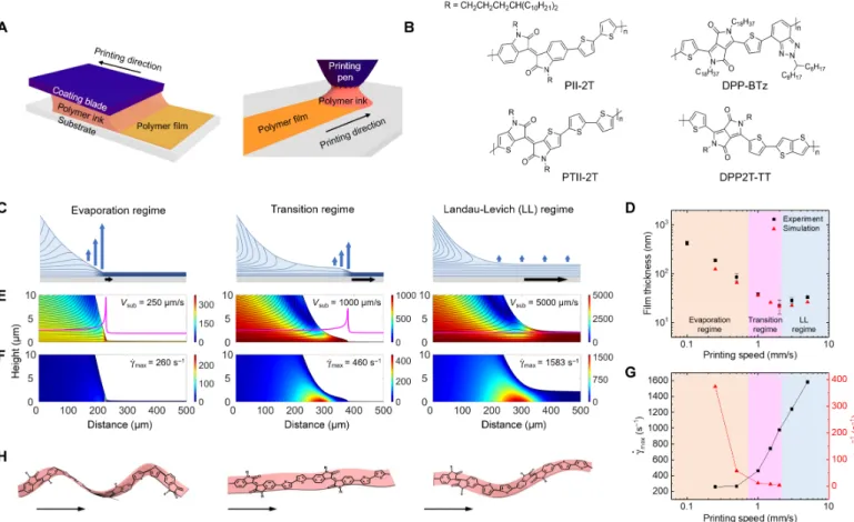 Fig. 1. Printing methods, model systems, and printing regimes. (A) Schematic of blade coating (left) and capillary pen writing (right) processes to produce conjugated polymer films