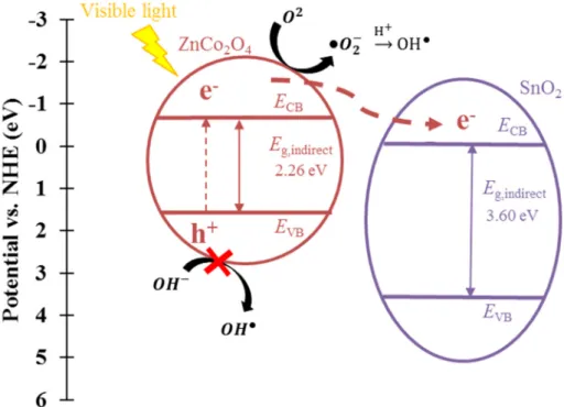 Figure 10. Mechanism of charge transfer in mixed SnO 2 -ZnCo 2 O 4  sample. Electrons (e − ) and holes (h + )  correspond to the photogenerated electron and hole, E CB  and E CV  stand for potentials of conduction  and valence band, E g,indirect  correspon