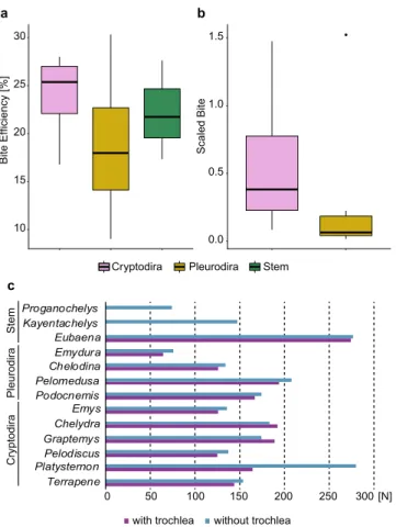 Figure 4.  Bite force and efficiency in turtles. (a–b), Boxplots of bite efficiency based on (a), FEA estimates and  (b), in vivo measurements (scaled bite force calculated by dividing measured bite force 33  by carapace size)