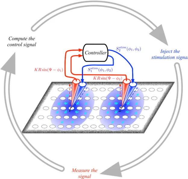 Fig 1. A schematic description of the control strategy. An array of neuronal patches (white circles) is controlled using M = 2 microelectrodes (red-blue cones)