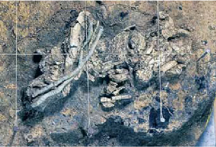 Fig. 19.  Vue de la surface de l’ossuaire principal de la tombe 249. Bracelet  (à gauche) et deux tiges (bracelet à torsade déplié et épingle), enfoncées  obliquement et en parallèle dans l’amas osseux (en bas).