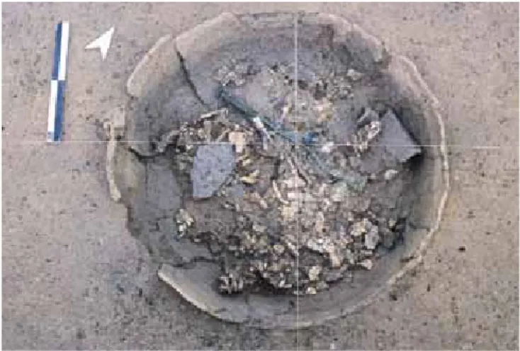 Fig. 37. Vue du sommet des dépôts dans le vase ossuaire de la tombe 290. 