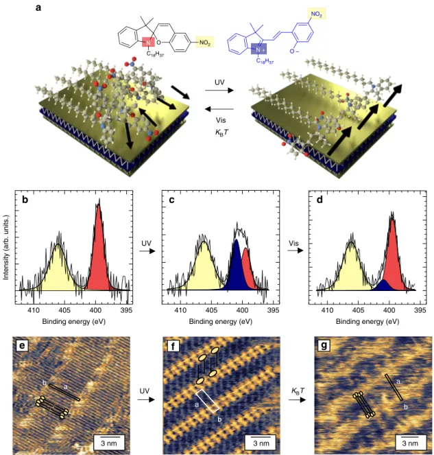Fig. 1 Photo-switchable molecular crystals in two dimensions. a Schematic representation of our approach