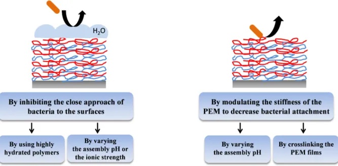 Figure 1.27: Scheme of the different strategies that have been used to build adhesion-resistant PEMs