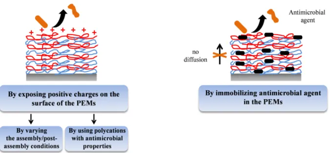 Figure 1.30: Scheme of the different strategies that have been used to build contact-killing PEMs