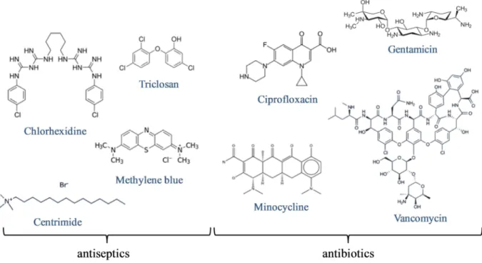Figure 1.42: Chemical structure of different antiseptics and antibiotics that have been embedded into PEMs