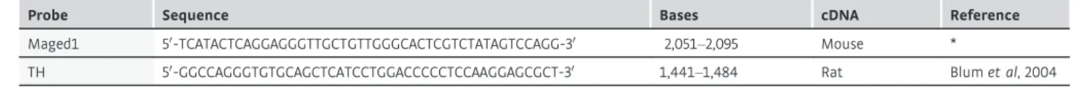 Table 1 . Oligonucleotide probes sequences used for in situ hybridization.