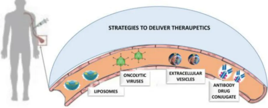 Figure 2. Innovative drug delivery strategies.