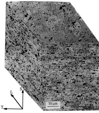 Figure 5.4:  2091-T351.  Effect  of orientation  on the  grain structure close to the specimen surface