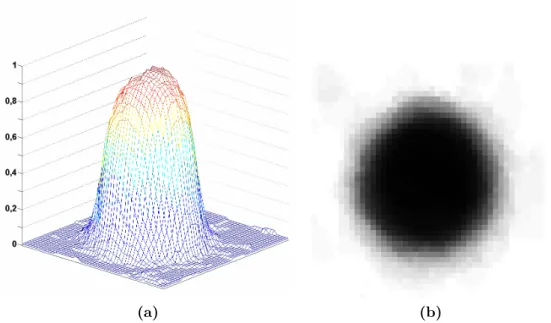 Figure 3.12.: The average image of one dot from waterless offset printer on coated paper under the resolution 2400 dpi.