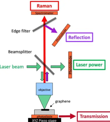 Figure 1: Scheme of the Raman/reflection/transmission setup. 