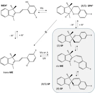 Figure 1. Four-state molecular system involving spiropyrans. (R/S)-SP (SP from here on): spiropyran; MEH + : protonated merocyanine; (R/S)-SPH + (SPH + ): protonated spiropyran; ME: merocyanine