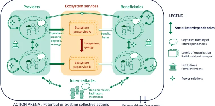 Fig. 1. Framework of analysis of social interdependencies underlying ecosystem services dynamics.