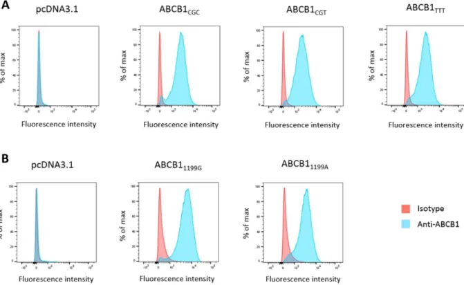 Figure 1.  ABCB1 cell surface expression. Flow cytometry histograms of HEK293 cells transfected with (A) the  empty pcDNA3.1 vector, ABCB1 CGC , ABCB1 CGT  or ABCB1 TTT  and (B) the empty pcDNA3.1 vector, ABCB1 1199G ,  ABCB1 1199A 