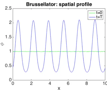 Figure 1.8: Activator species ϕ ; we see the initial perturbation of the steady state ( t = 0) and the final spatial pattern ( t = T ); D ϕ = 0 