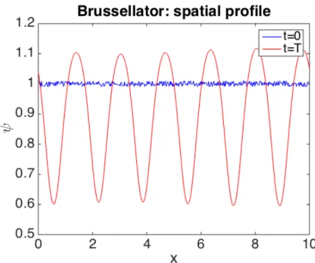 Figure 1.10: Inhibitor species ψ ; we see the initial perturbation of the steady state ( t = 0) and the final spatial pattern ( t = T ); D ϕ = 0 