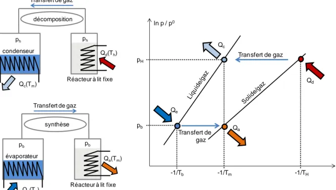 Figure I.3 : Représentation dans le diagramme de Clausius-Clapeyron des points de fonctionnement théoriques  (a l’équilibre) d’un transformateur thermochimique