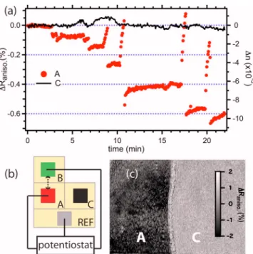 Fig. 3. (Color online) (a) Dynamical P-SPRI signal of a SAM-supported hemimembrane system