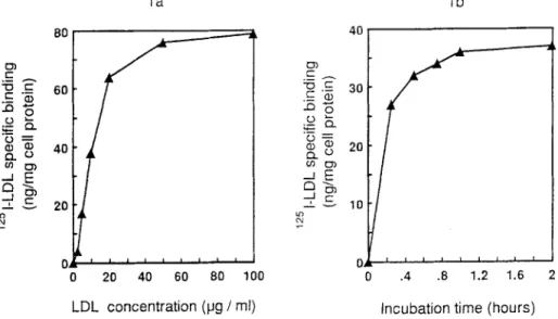 Figure  l a   shows  the  specific  binding  of  ~esI-LDL  in  HT29-18  cells  as  a  function  of  the  lipoprotein  concentration