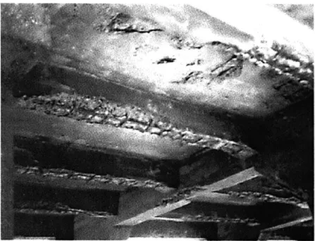 Figure 8:  Extensive  Black  Steel  Rebar Corrosion on Parking Garage  Ceiling