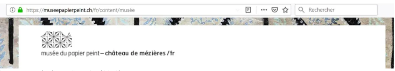 Figure 4 : Printscreen de la rubrique « Page d’accueil » 