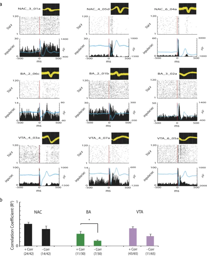 Figure 8. Cortical stimulation synchronizes unit activity across limbic circuits. PrL was stimulated at 0.1 Hz for 20 min for a total of 120 trials