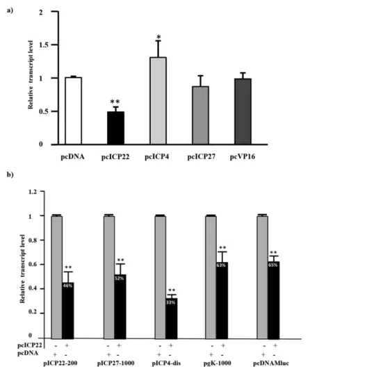 Fig. 6. Impact of ectopically expressed GaHV-2 immediate early proteins on IE and L genes’ promoter activity
