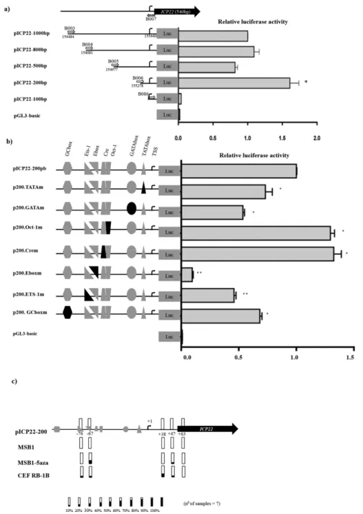 Fig. 3. Characterization of the ICP22 promoter. (a) Characterization of the core promoter of ICP22 in MSB-1 cells