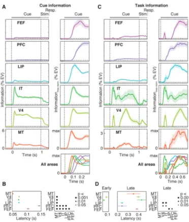 Fig. 2. Dynamics of cue and task information