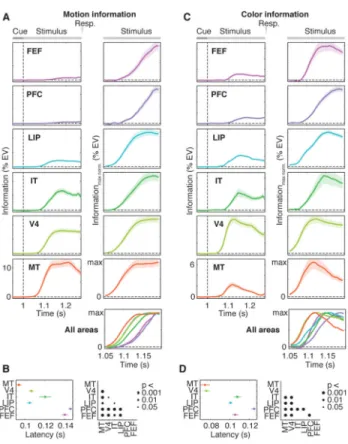 Fig. 3. Dynamics of motion and color information