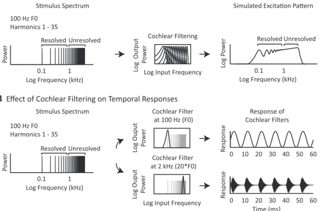 Figure 1. Effects of cochlear filtering on pitch cues. A, Spectral resolvability varies with harmonic number