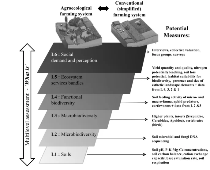 Fig. 2. A multilevel (L) methodology to allow a better understanding of agroecological practices and their impacts on ES flows and underlying processes