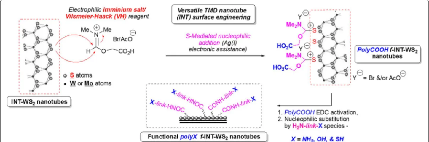 Fig. 1  Preparation of functional polyX (X: COOH,  NH 2 , OH, SH) f‑INT‑WS 2  inorganic nanotubes