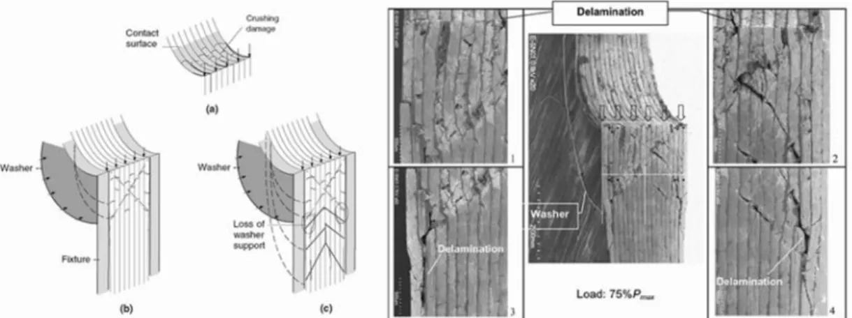 Figure 22 - A gauche, les trois phases de la rupture en matage, (a) écrasement de contact, (b) endommagement  confiné sous les rondelles de serrage, (c) propagation de l'endommagement hors de la zone de serrage