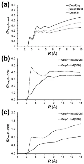 Fig. 7. Distribution functions for the following pairs of atoms: (a) non-hydrogen atoms from OmpF and oxygen atoms from water for (OmpF) aq , (OmpF) DDM and (OmpF) bl