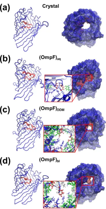 Fig. 9. Evolution during the production trajectory of the C α -RMDF for the L3 loop (re- (re-sidues 105–127) in the three models compared to the crystal structure.