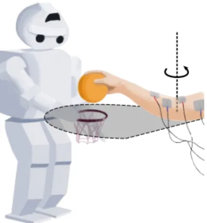 Fig. 1: Human/robot collaborative task: “ball in the hoop”.