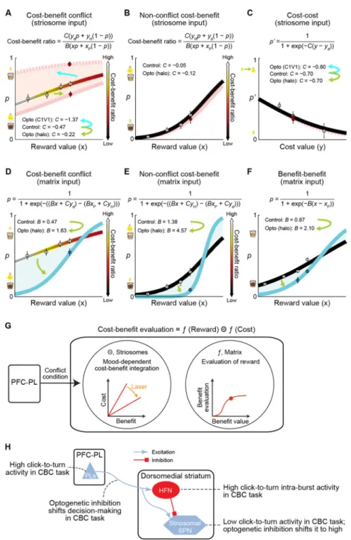 Figure 7. Computational Models to Characterize the Effects of Optogenetic Manipulations (A-F) Choice probability (p: probability of choosing diluted chocolate milk; p’: probability  of choosing bright light) derived from the logistic regression plotted aga
