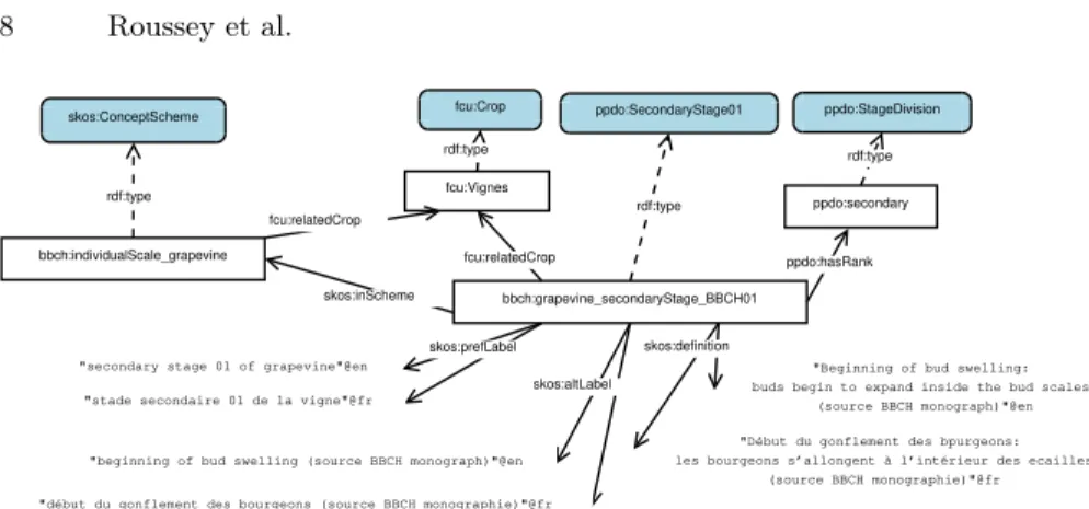 Fig. 2. Example of instantiation of the BBCH general scale model with the grapevine specific scale (stage BBCH 01) –the prefix bbch currently means http://ontology.inrae.fr/ppdo/bbch.