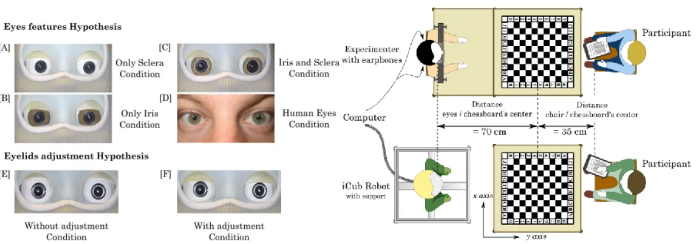Figure  5.  The  robot's  and  human's  eyes  and  robot's  eyelids  used  for  the  eye  direction  experiment,  accordingly  to  our  hypotheses